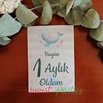 Bebek Aylık Anı Kartları-Hayvancıklı Pastel Tema