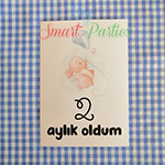 Bebek Aylık Anı Kartları-Uçurtmalı Tavşan Tema